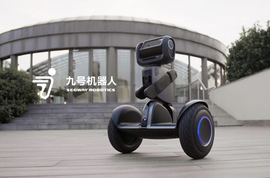 博乐虎网站设计制作公司优秀合作案例_网站设计_国内网站制作优秀案例_合作公司：九号机器人