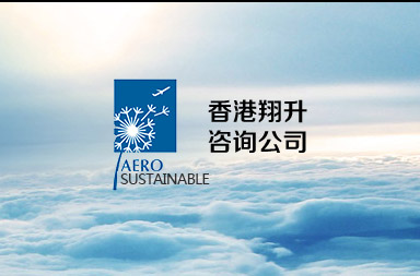 航空公司网站建设,咨询公司网站制作开发